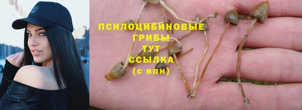 бошки Алексин
