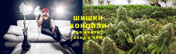 бошки Алексин
